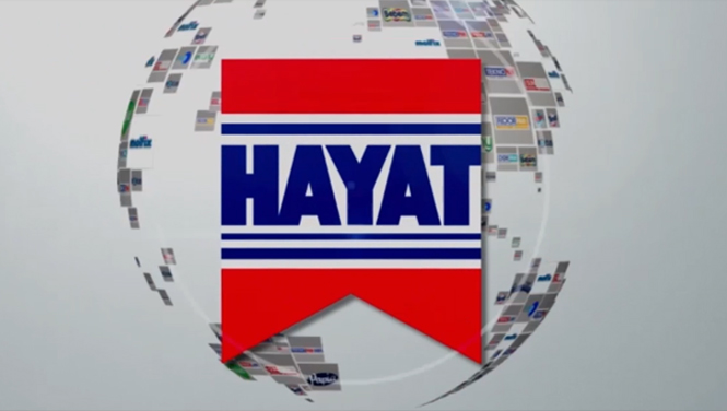Hayat kimya Molfix