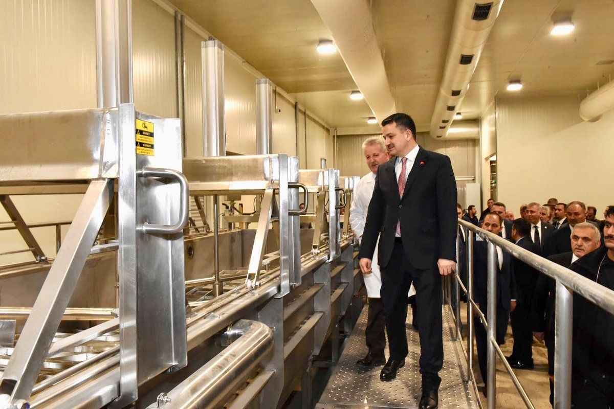 Alman Fous Peynir Fabrikası